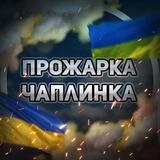 ПРОЖАРКА ЧАПЛИНКА 🇺🇦