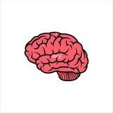 Brain test 📉