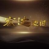 宏达支付-🈲️