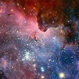 星野话术单20起早晨9点半开工