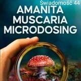 Amanita Muscaria Symbol Zdrowia i Świadomości