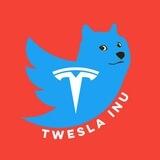 Twesla Inu