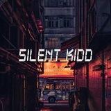 SILENT PLUGS