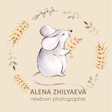 LittleMouseStudio