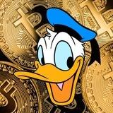CryptoDuck