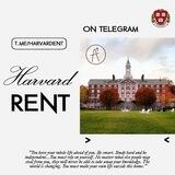 HARVARD ENT — HIRING TALENT