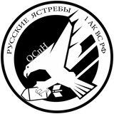 ОСпН РУССКИЕ ЯСТРЕБЫ 1 АК ВС РФ