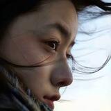 路虎日记（代理，音乐，视频，项目内容）