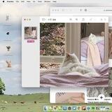 sarphiely, catalog ready-to-use.