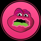 Jerry The Turtle- JYAI
