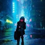 烂漫的虎「杂」