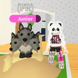 Adopt Me ~ MM2 ~ Roblox