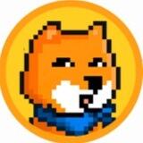 $SHIBE | Group