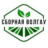 Аграрный КВН