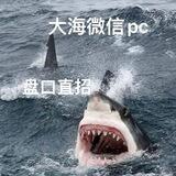 大海微信PC盘口直招-招实力号商