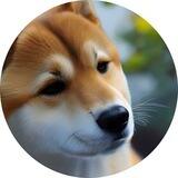 Shibonsu Inu Portal