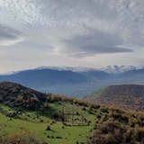 ویس مازنی