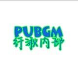 纤湫PUBG内部防封