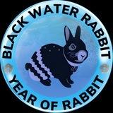 Black Water Rabbit