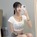一只小飞豆🎉豆
