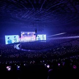 carat