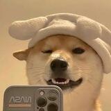晚苒短信/彩信4.5【清影上压1500U】