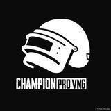 CHAMPION FILE