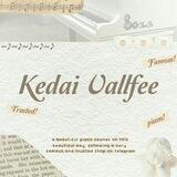Testimoni Kedai Vallfee
