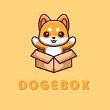 DogeBox - BSC