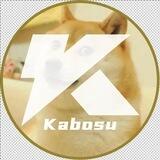 卡波苏（KABOSU）万倍启航