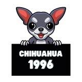 Chihuahua 1996 || BSC
