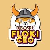 CrazyFlokiCeo Office🇨🇳