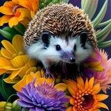 Leyli Cavad🦔