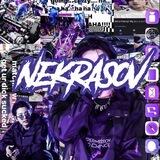 Nekrasov