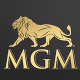 MGM体育🎮