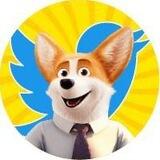 CorgiCEO Global Chat