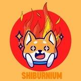 Shiburnium Portal