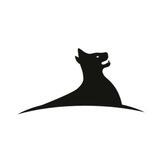 冲浪猫 Official🔔