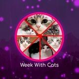 Week With Cats