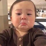 挽风集团-项目资源频道