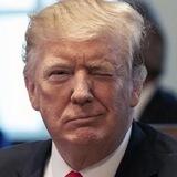 Donald Trump (The King) 👑 🇺🇸