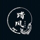 踏风团队《工作记录》