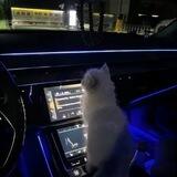 华强业务群