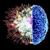 ԳԻՏԵԼ IQ