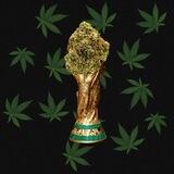 FIFA WEED CUP