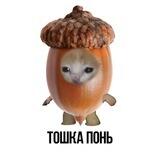 Тяжело быть негром💔