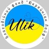 Куп'янський Вулик