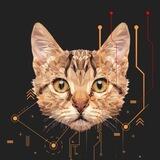 CatoChain