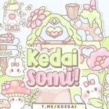 Kedai Somi!