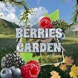 🌿. Berries Garden - openggg 💋